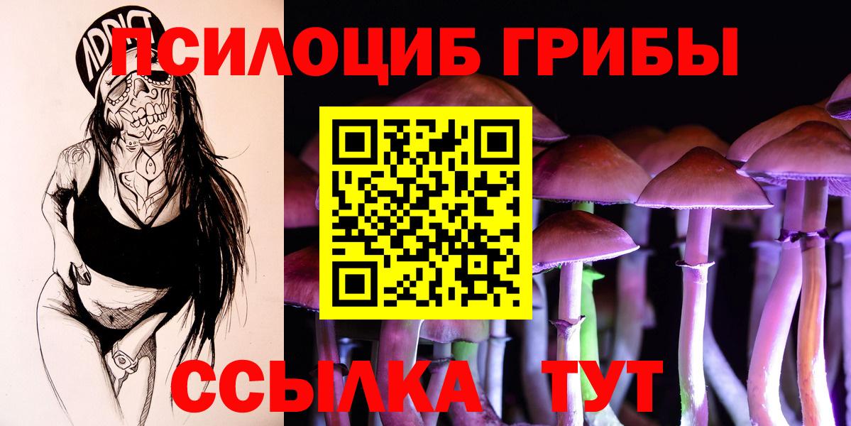Псилоцибиновые грибы GOLDEN TEACHER Пушкино