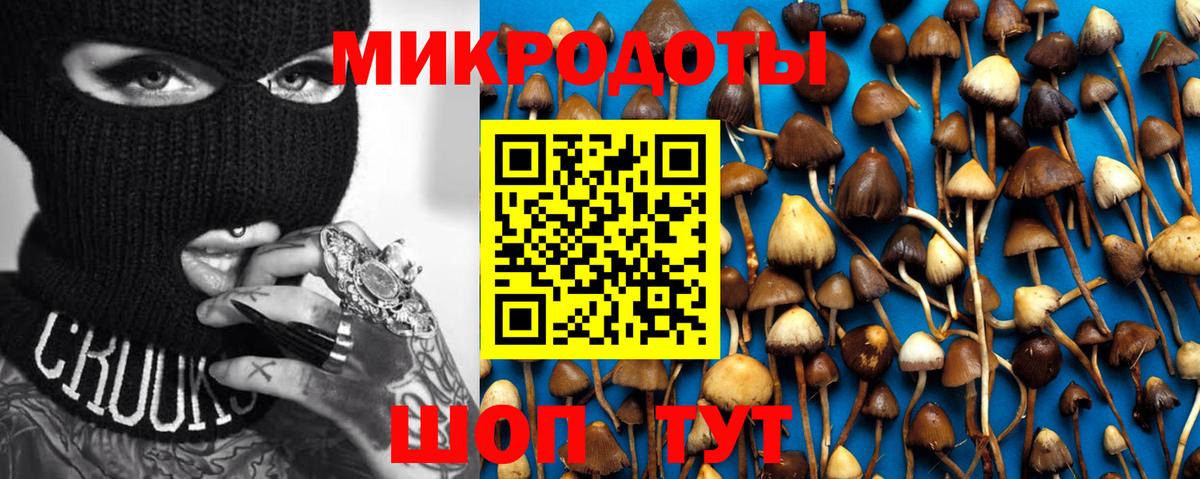 Пушкино  Псилоцибиновые грибы мухоморы  Вход с VPN  Псилоцибиновые грибы Psilocybine cubensis 