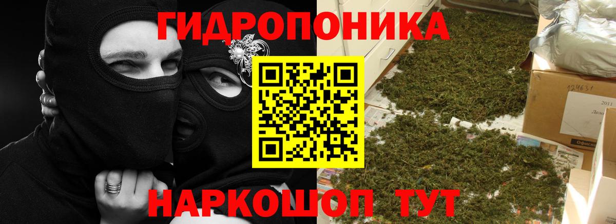 Марихуана Ganja Пушкино